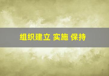 组织建立 实施 保持